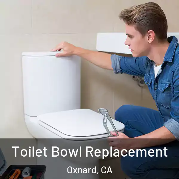  Toilet Bowl Replacement Oxnard, CA